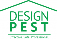 Design Pest